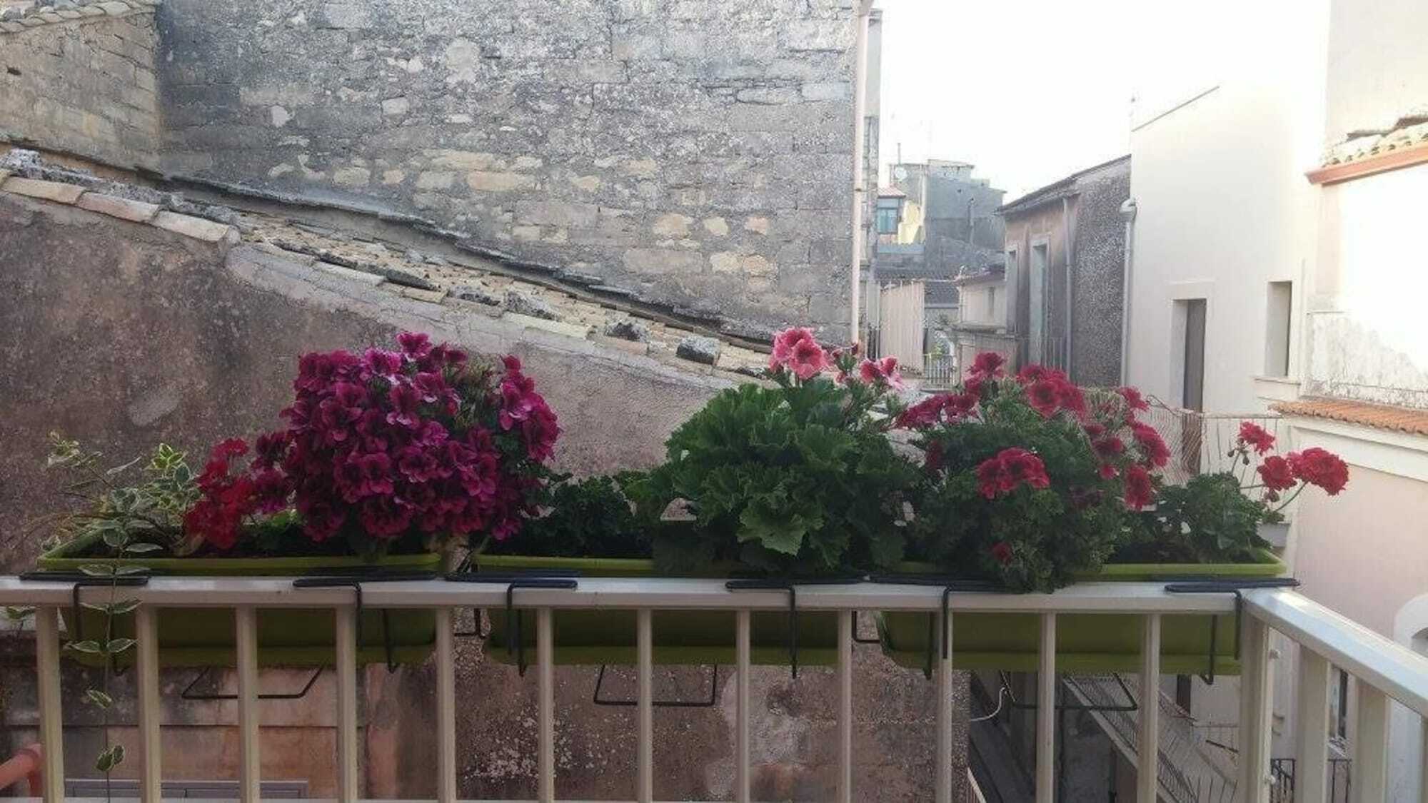 דירות רגוזה Casa Sant'Anna מראה חיצוני תמונה